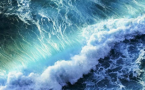 ���˻����̰�