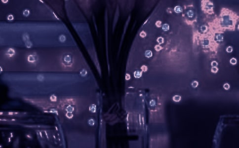 2023��������˵����¼ժ¼40��