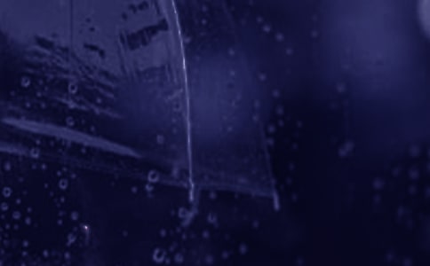 ����Ψ����¼��ͨ��80�䣩