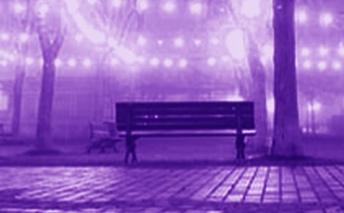 2023年浪漫传说的语录汇编48句