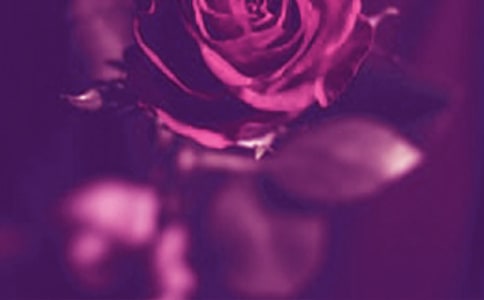 ����Ψ����¼���ܣ���ѡ100�䣩