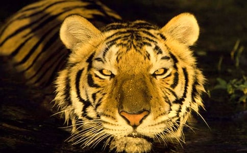 ��������ϻ����˽̰�