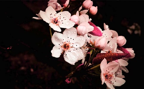 ˮ�������滨_�ܰ���Ĵ�ԭ������������