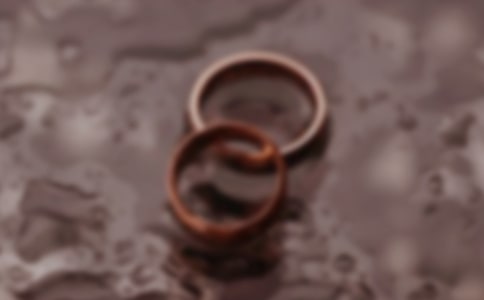 ��������鷶�������6ƪ��