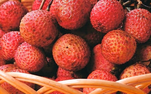 ����֦�������ݽ�����ôѡ����֦