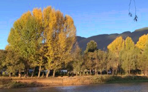 �������������ľ���