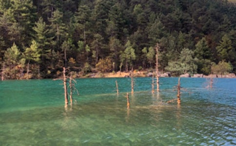 丽江自助游防骗攻略丽江旅游常见骗局介绍