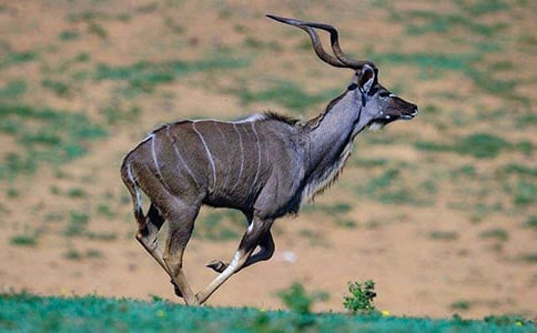 ������ľ�񡷽̰� 15ƪ