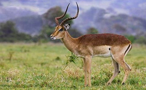 ��������Ĺ��¡� �̰�3ƪ