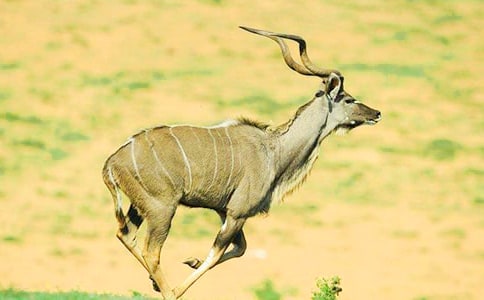 ������ľ�񡷽̰�15ƪ