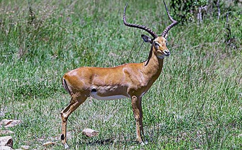 ����ľ���ѧ���