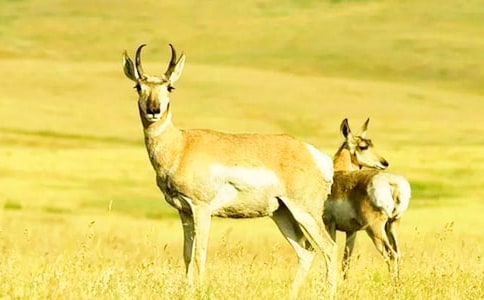 ������ľ�񡷽̰�