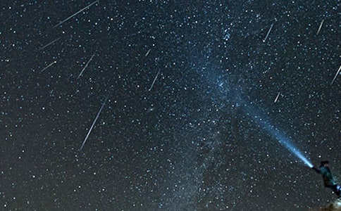 大班语言教案流星花