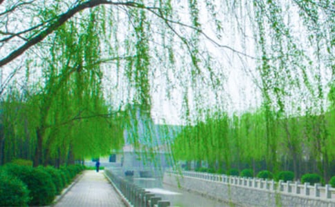 �������˽̰�