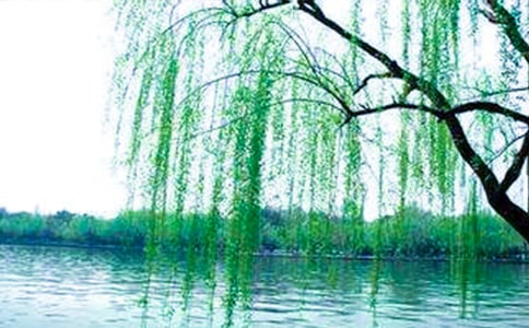 ��ʶ�����̰�