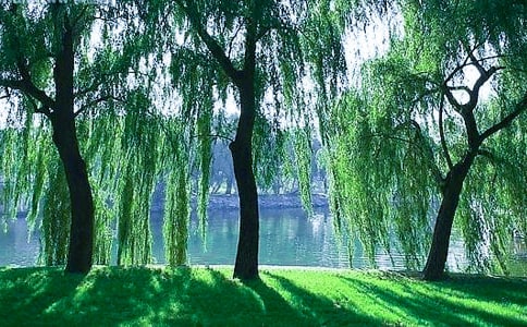 ���������а�̰�