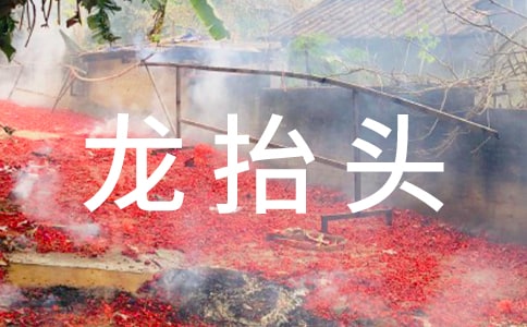 龙抬头活动主持稿