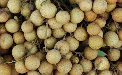 ��֦���۵ȹ����ɹ�����ι���