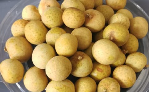 ��֦���۵ȹ���������ι���