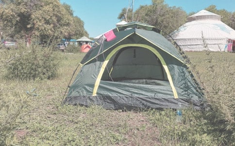 ¶Ӫ��������