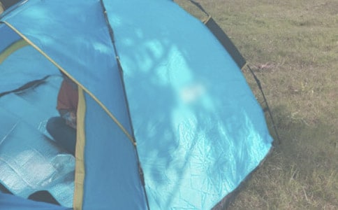 ¶Ӫ������