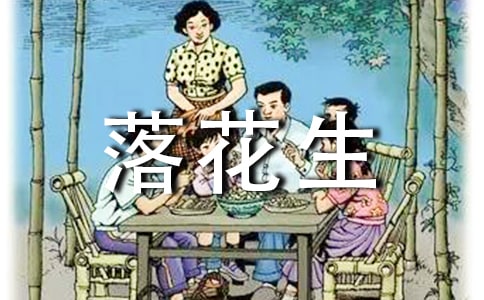 《落花生》优秀教案