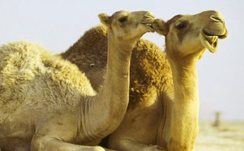 �����ս�ѧ���