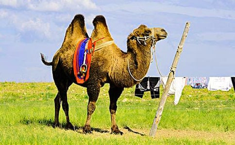 �����ս̰��ϼ�15ƪ