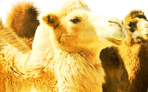 ������������