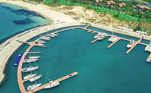 ��ͷ�ÿ���ɢӦ��Ԥ��