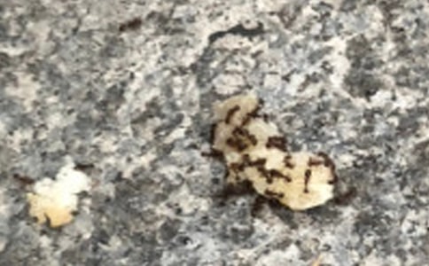 ���Ϻ������ѧ��˼