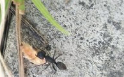 ���ϵ��� ���˼