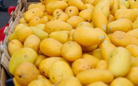 ��â�����̼۸��ͼƬ