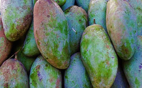 芒果的营养价值与食用功效