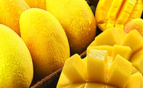 â����Ӫ����ֵ��ʳ�ý���