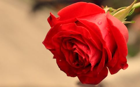 õ�徫�͵Ĺ�Ч������