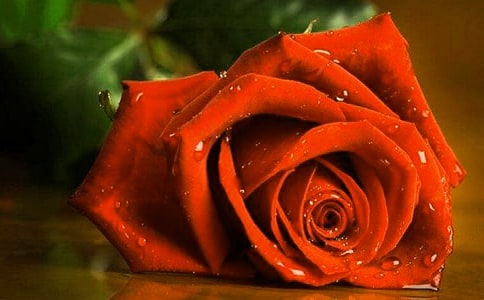 õ�廨�������빦Ч