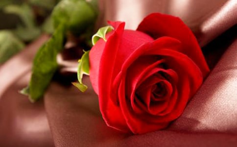 ����õ�廨��