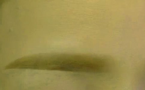 眉毛小常识:你会描眉吗