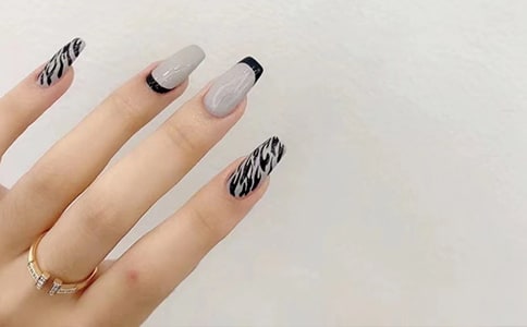 ���׸��������ƶ�