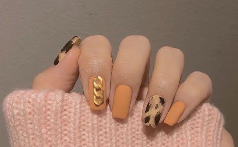 �������޾�������5ƪ