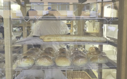 (��ѡ)����괴ҵ�ƻ���15ƪ