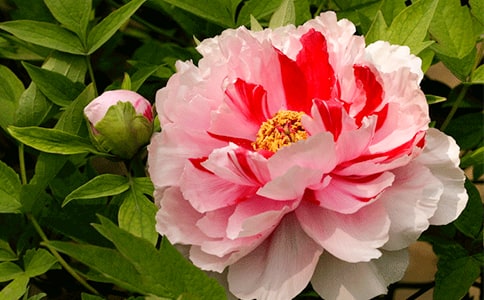 ��ĵ��������