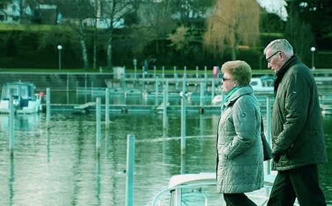 看望兔奶奶教案