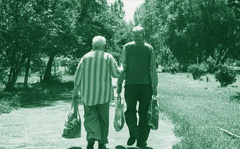 �����̵İ׷����̰�