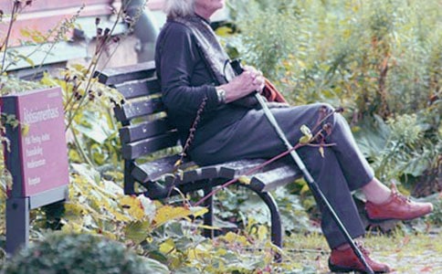 小班安全教案:探望兔奶奶