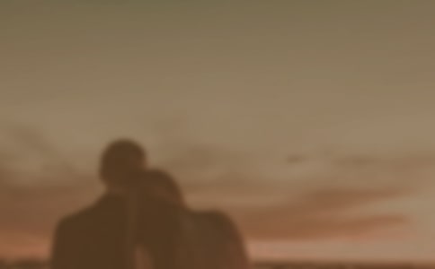 ��Ů����Э����ģ��