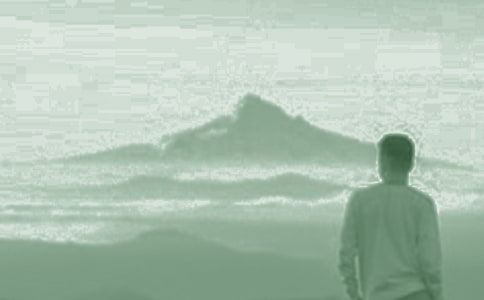 �����Ǽҵ����Ӻ����̰�