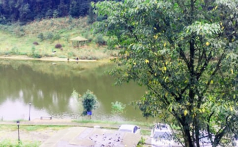 农家乐的现状及发展前景