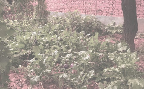 ũ�������ӹ����ͬ6ƪ